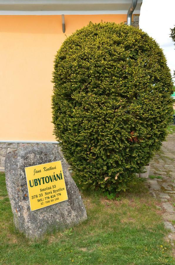 ホテル U Rybnika Smrcna Nová Bystřice エクステリア 写真
